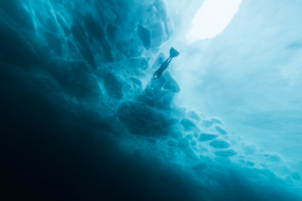Freediving Under the Ice with Magali Cote