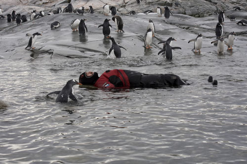 antarctica