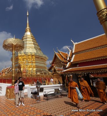 Chiang Mai proved even more touristy than I expected unfortunately, but it was still amazing to visit Buddhist temples in the jungle. 